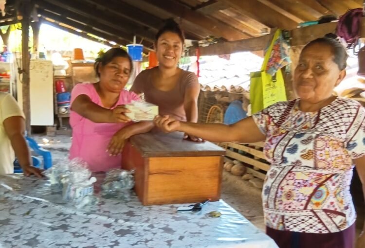 WhatsApp Image 2026-01-12 at 12.47.25 PM (2)